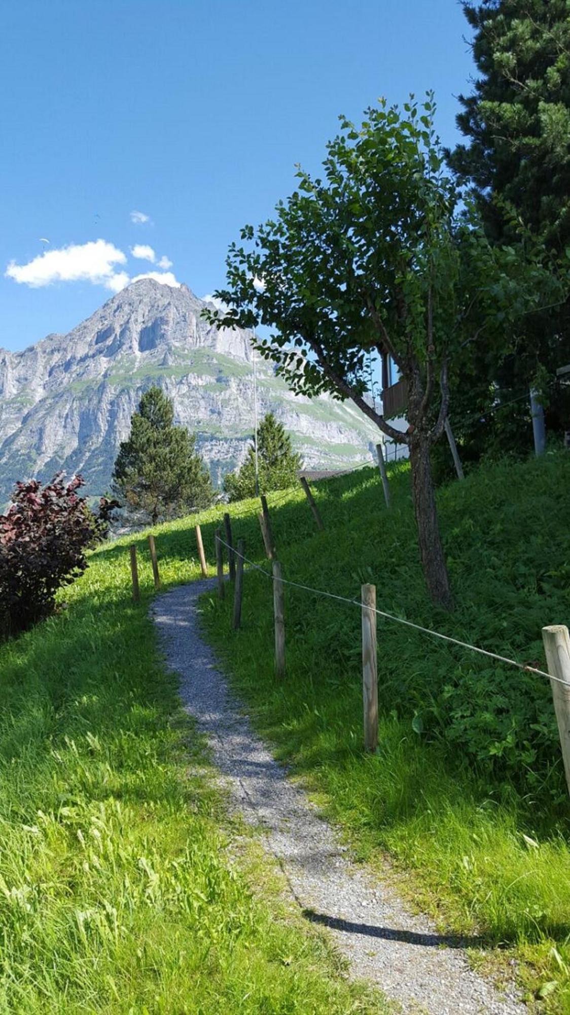 Chalet Waergistal Grindelwald Extérieur photo