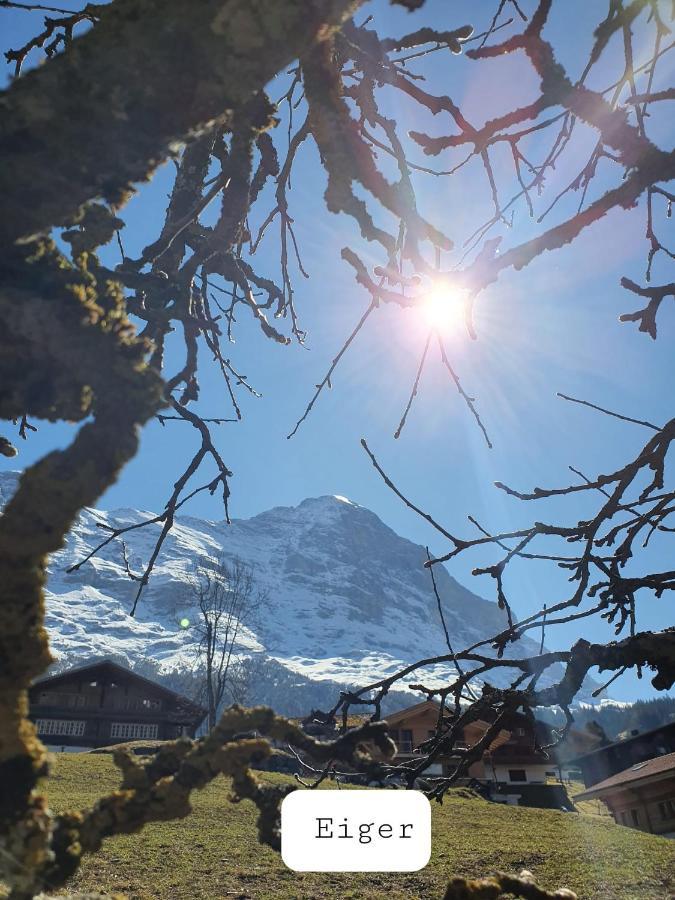 Chalet Waergistal Grindelwald Extérieur photo