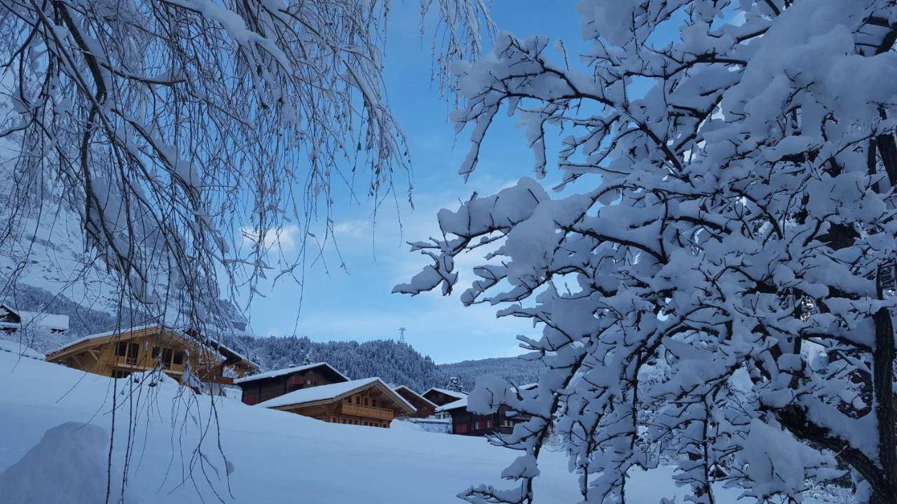 Chalet Waergistal Grindelwald Extérieur photo